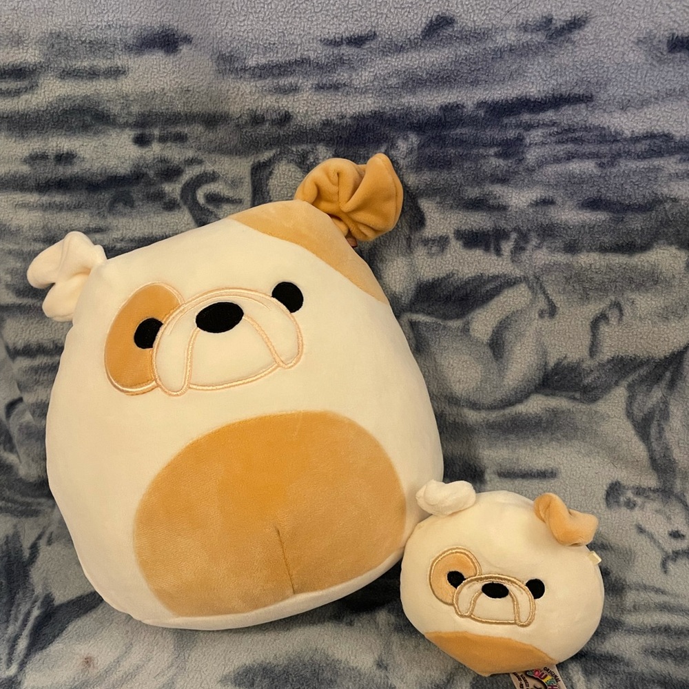 Brock the dog Squishmallow Bundle💕 - Picture 1 of 4